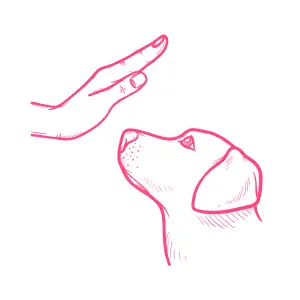 2 (1)
