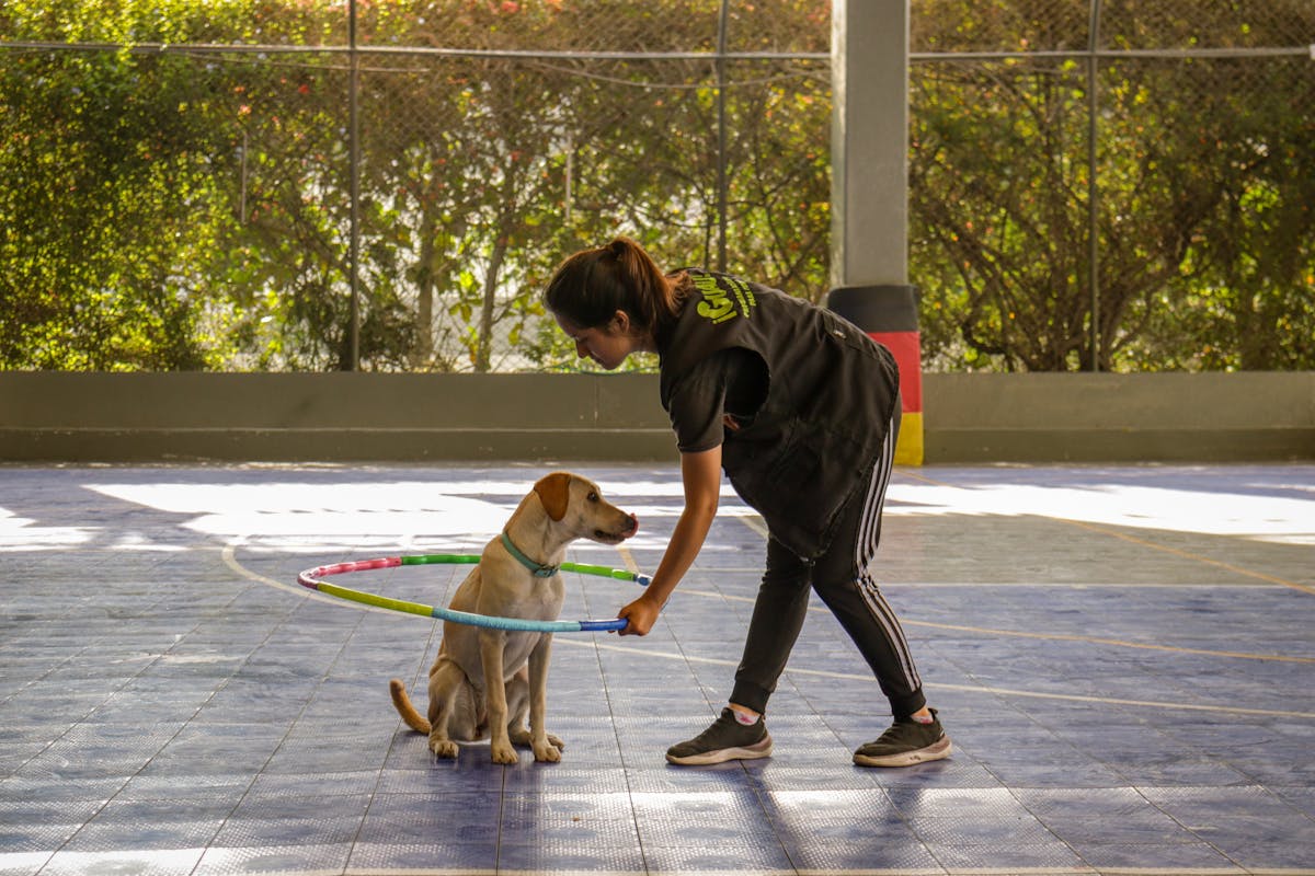playing