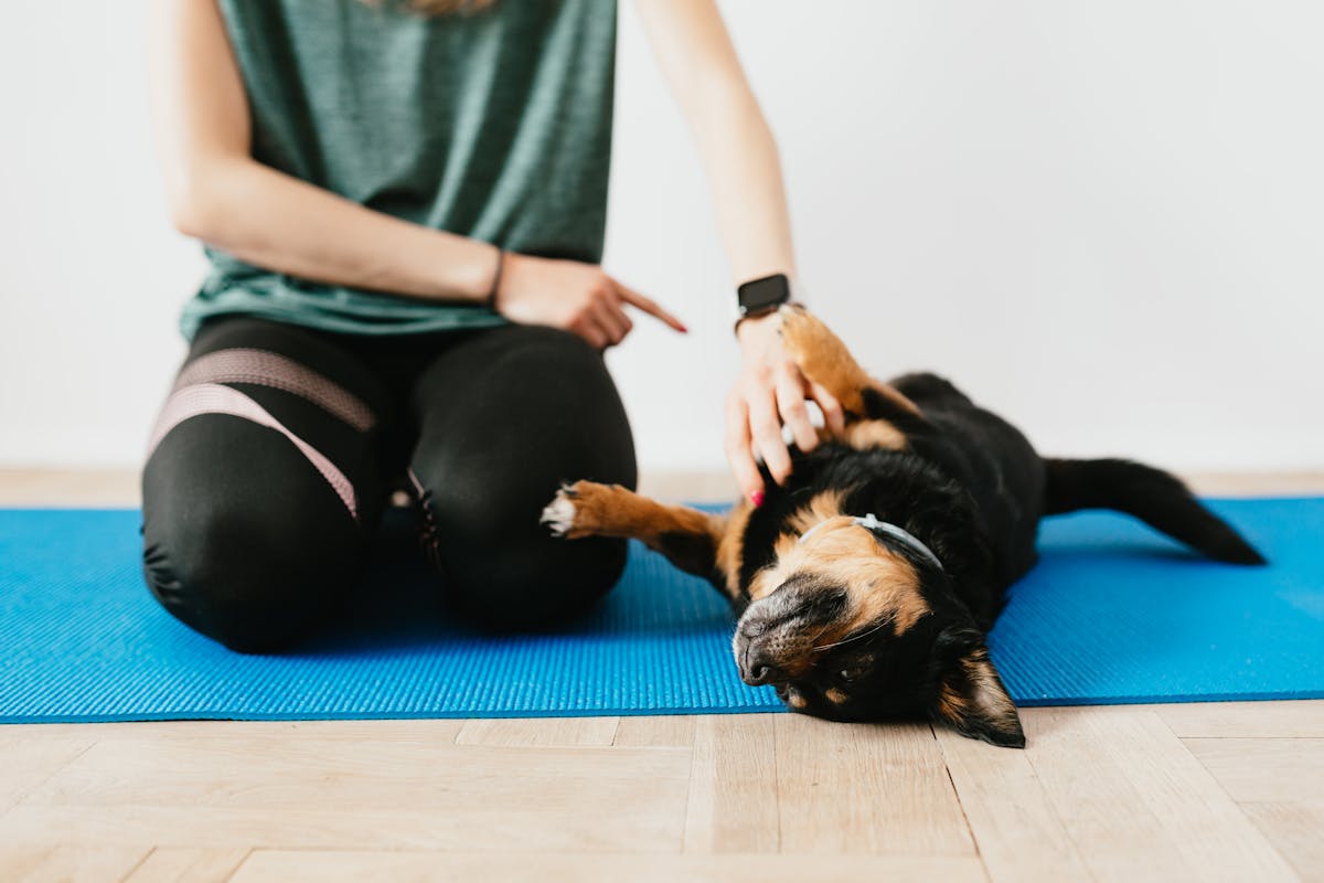 yoga with dog